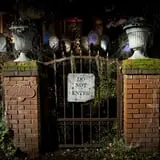 Davis Graveyard photo