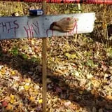 Garner's Haunted Forest - Haunts Against Hunger  photo
