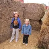 Honey Hill Orchard photo