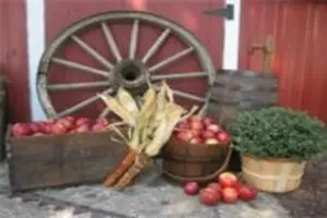 Honey Hill Orchard