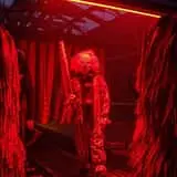 Tunnel of Terror 2025