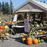 Velvet Acres Gardens - Vancouver Pumpkin Patch photo