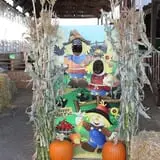 Velvet Acres Gardens - Vancouver Pumpkin Patch photo
