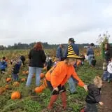 Velvet Acres Gardens - Vancouver Pumpkin Patch photo