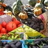 Velvet Acres Gardens - Vancouver Pumpkin Patch photo