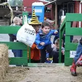 Velvet Acres Gardens - Vancouver Pumpkin Patch photo