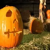 Velvet Acres Gardens - Vancouver Pumpkin Patch photo