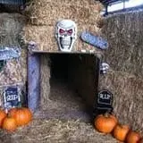 Velvet Acres Gardens - Vancouver Pumpkin Patch photo