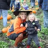 Velvet Acres Gardens - Vancouver Pumpkin Patch photo