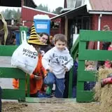 Velvet Acres Gardens - Vancouver Pumpkin Patch photo