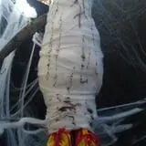 Haunted Moss - Haunted House, Haunted Maze & Midnight Tours photo
