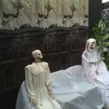 Haunted Moss - Haunted House, Haunted Maze & Midnight Tours photo