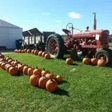 Edwards Apple Orchard West photo