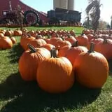 Edwards Apple Orchard West photo