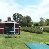 Edwards Apple Orchard West photo