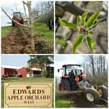 Edwards Apple Orchard West photo