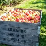 Edwards Apple Orchard West photo