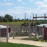 Edwards Apple Orchard West photo