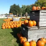 Edwards Apple Orchard West photo