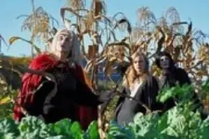 SLO Creek Farms Pumpkin Patch