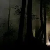 Bayou Nightmare