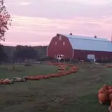 Shepherd's Cross & Heart of the Shepherd Farm photo