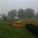 Shepherd's Cross & Heart of the Shepherd Farm photo