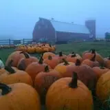 Shepherd's Cross & Heart of the Shepherd Farm photo