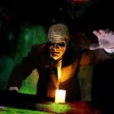 Waldorf Estate of Fear photo
