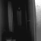 Waldorf Estate of Fear photo