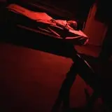 Waldorf Estate of Fear photo