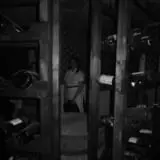 Waldorf Estate of Fear photo