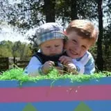 Holiday Farms - The Great Pumpkin Patch photo