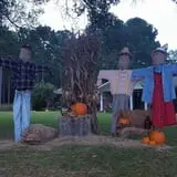 Holiday Farms - The Great Pumpkin Patch photo
