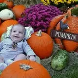 Holiday Farms - The Great Pumpkin Patch photo