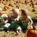 Holiday Farms - The Great Pumpkin Patch photo