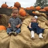 Holiday Farms - The Great Pumpkin Patch photo