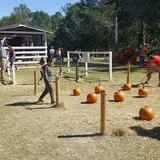 Holiday Farms - The Great Pumpkin Patch photo