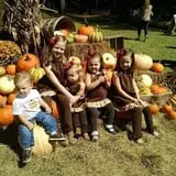 Holiday Farms - The Great Pumpkin Patch photo