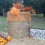 Holiday Farms - The Great Pumpkin Patch photo