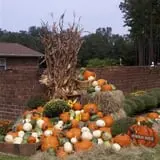 Holiday Farms - The Great Pumpkin Patch photo