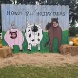 Holiday Farms - The Great Pumpkin Patch photo