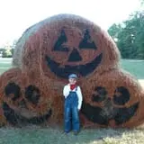 Holiday Farms - The Great Pumpkin Patch photo