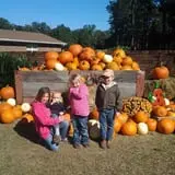 Holiday Farms - The Great Pumpkin Patch photo
