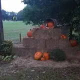Holiday Farms - The Great Pumpkin Patch photo