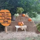 Holiday Farms - The Great Pumpkin Patch photo