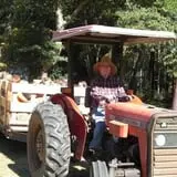 Holiday Farms - The Great Pumpkin Patch photo