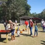 Holiday Farms - The Great Pumpkin Patch photo