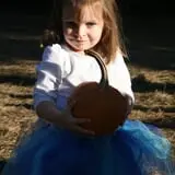 Holiday Farms - The Great Pumpkin Patch photo