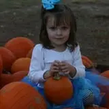 Holiday Farms - The Great Pumpkin Patch photo